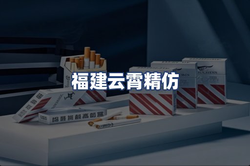福建云霄精仿